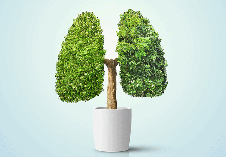 Akciğer Kanserinin Evreleri ve Seçilecek Tedaviler Nelerdir?