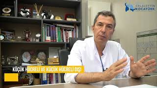 Küçük Hücreli ve Küçük Hücreli Dışı Akciğer Kanseri Nedir?