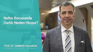 Nefes Borusunda Darlık Neden Oluşur?