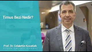 Timus Bezi (Uykuluk Bezi) Nedir? - Prof. Dr. Celalettin Kocatürk