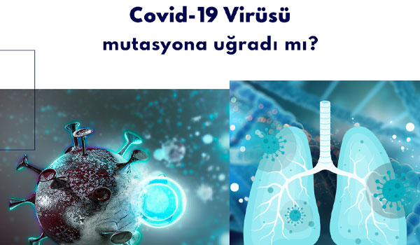 Covid-19 virüsü mutasyona uğradı mı?